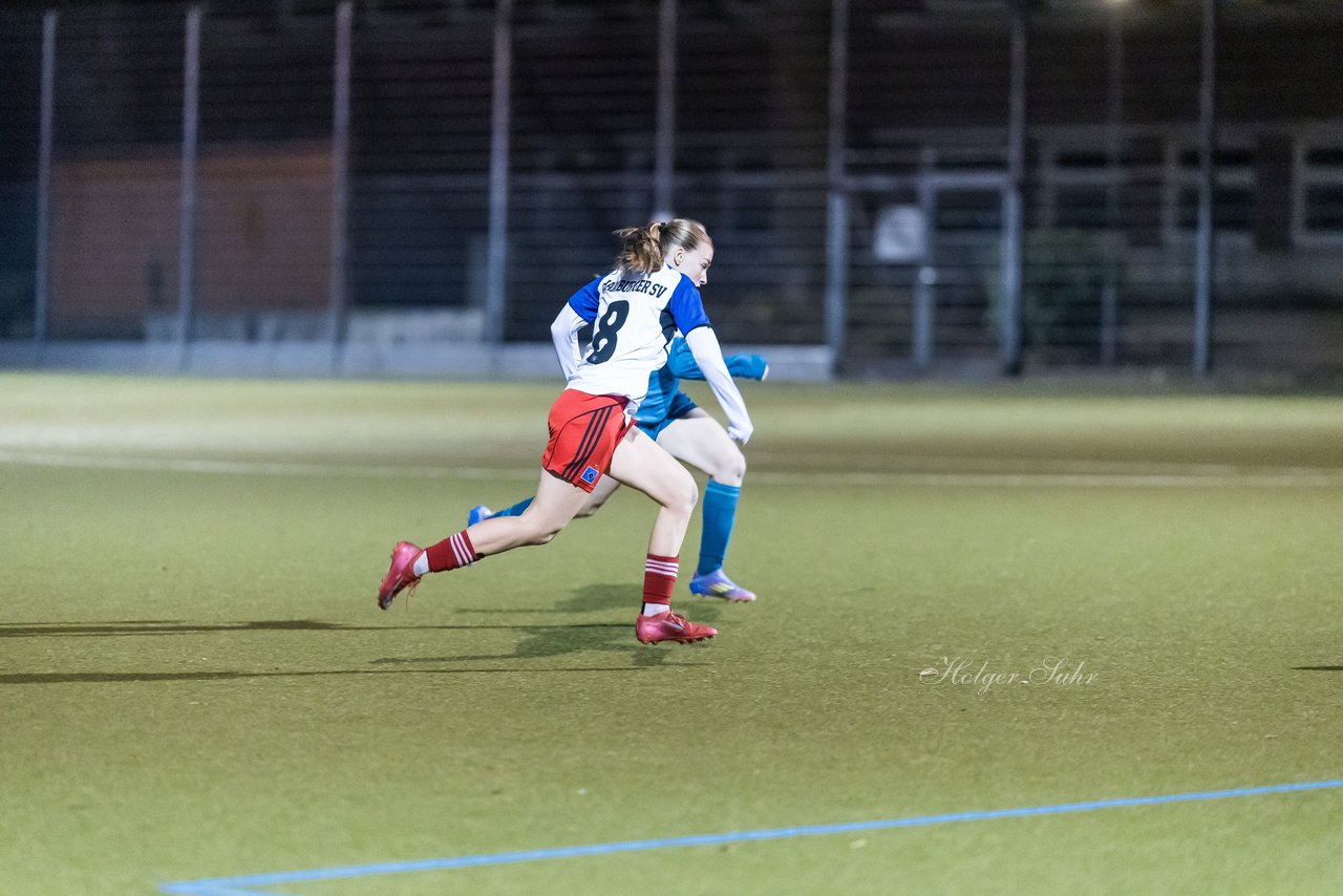 Bild 343 - F SC Alstertal-Langenhorn - Hamburger SV 3 : Ergebnis: 2:2